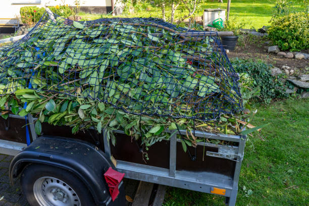 Best Moving and Downsizing Cleanouts  in North Branch, MI