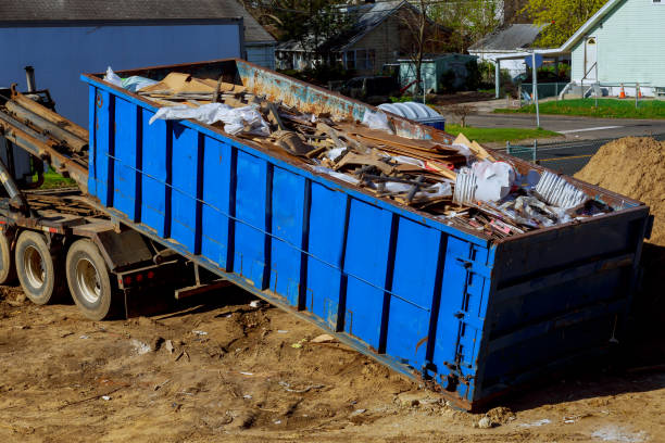 Best Recycling Services for Junk  in North Branch, MI
